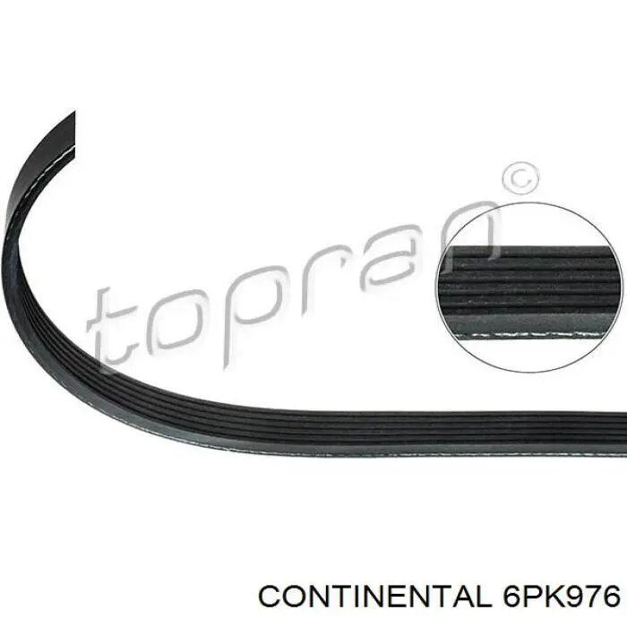 Купить 6PK976 Continental/Siemens Ремень генератора