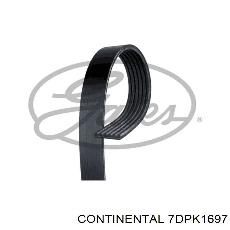 Купить 7DPK1697 Continental/Siemens Ремень генератора