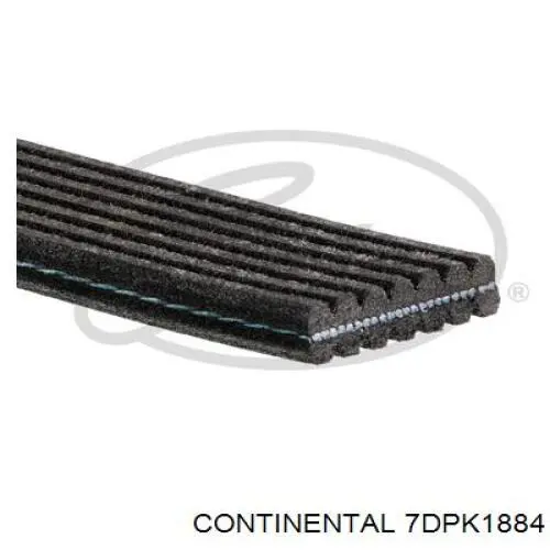 Клиновый ремень Continental/Siemens 7DPK1884 цена, от 45.37 USD