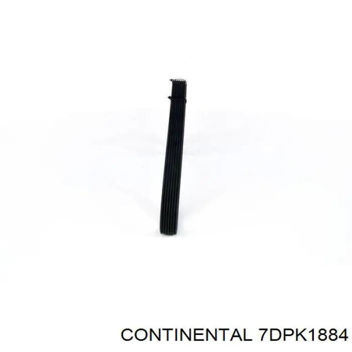 Купить 7DPK1884 Continental/Siemens Ремень генератора