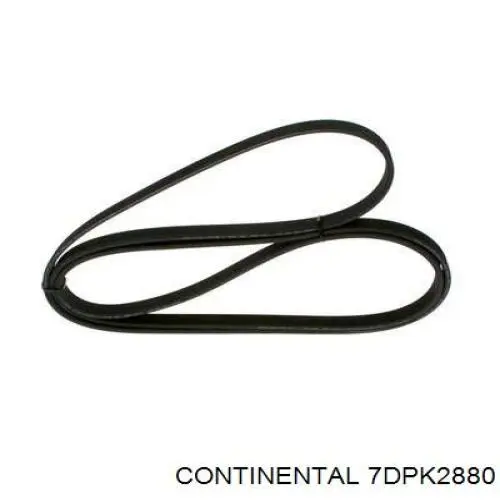  Ремень генератора Porsche Cayenne 