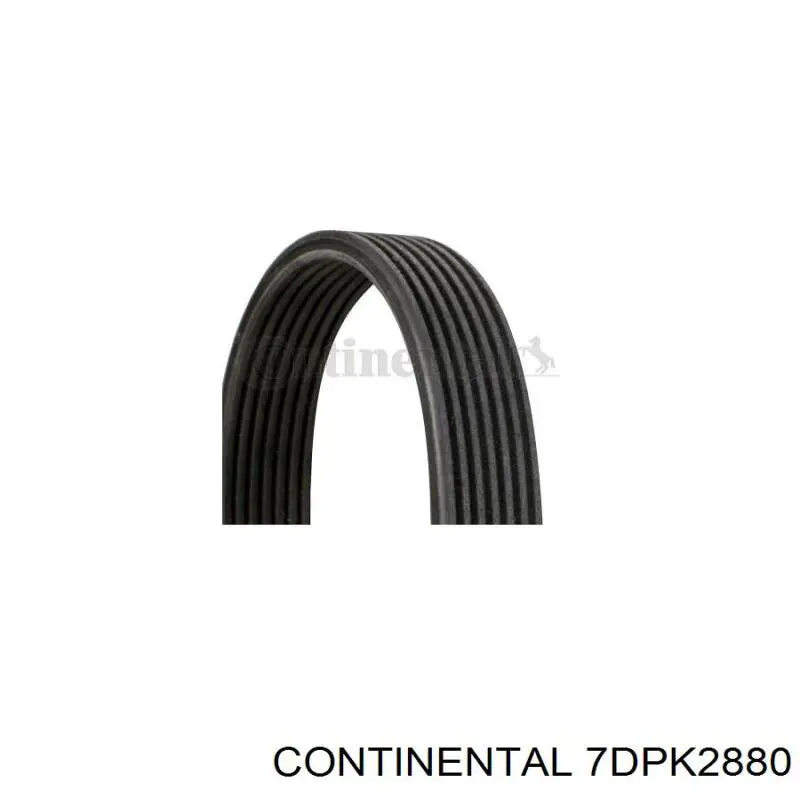 Купить 7DPK2880 Continental/Siemens Ремень генератора