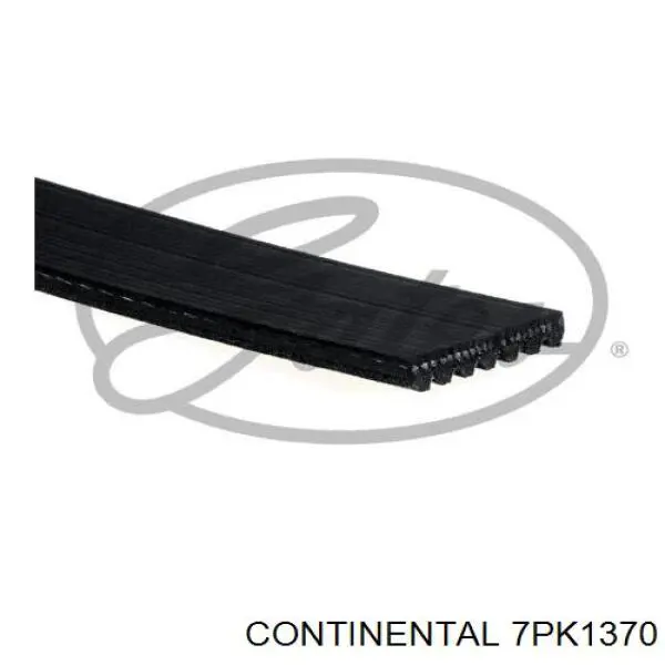Клиновый ремень Continental/Siemens 7PK1370 цена, от 17.41 USD