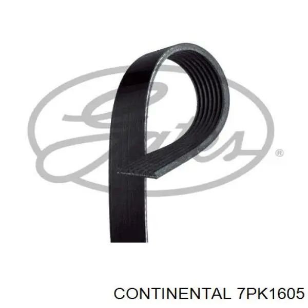 7PK1605 Continental/Siemens ремень генератора