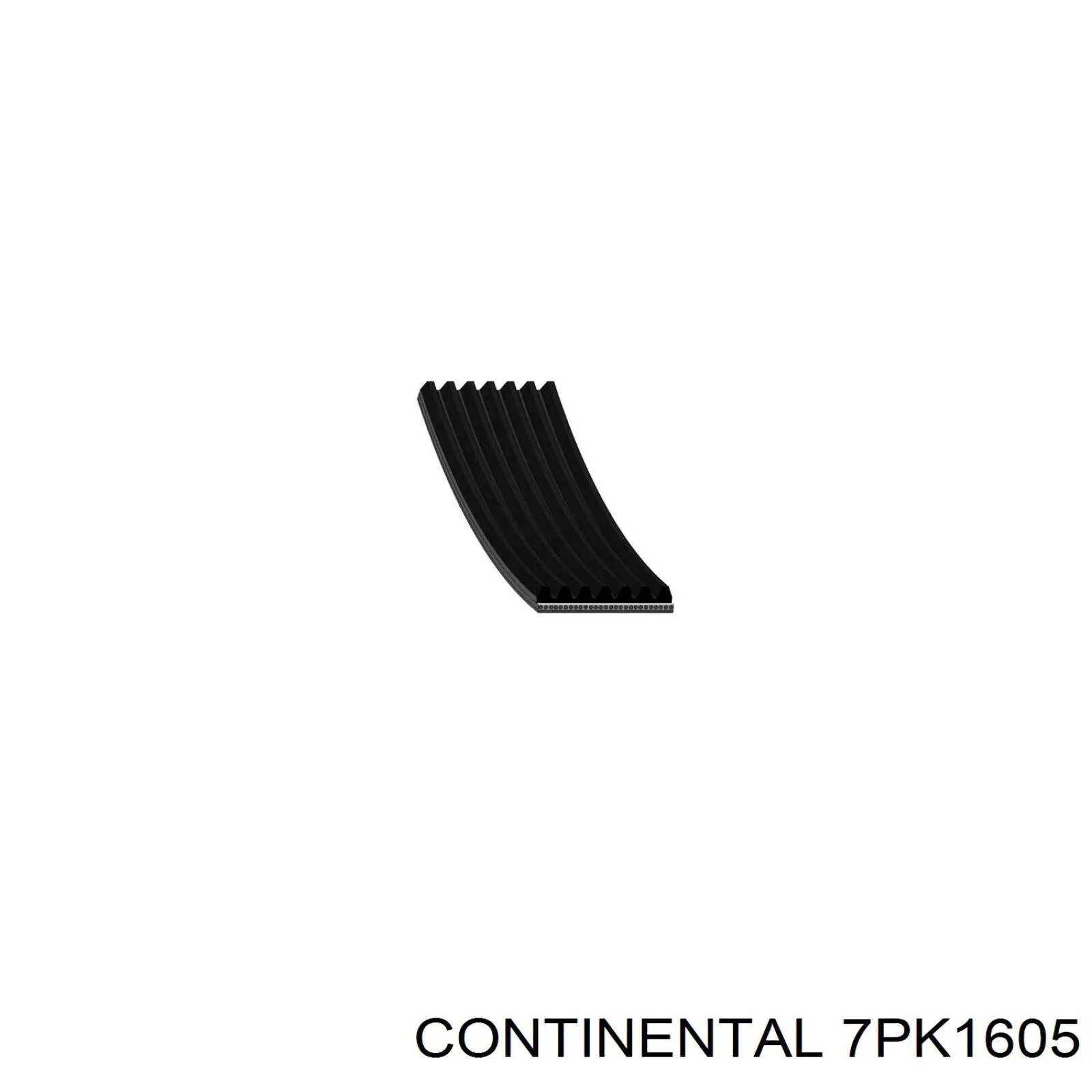 Ремень генератора 7PK1605 Continental/Siemens