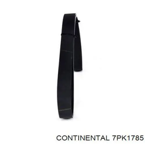 Клиновый ремень Denckermann 7PK1785 цена, от 17.61 USD
