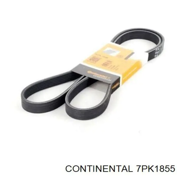 Клиновый ремень Continental/Siemens 7PK1855 цена, от 25.20 USD