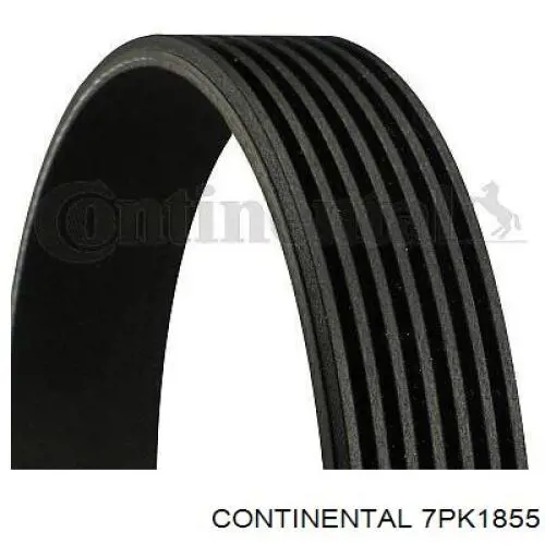 Купить 7PK1855 Continental/Siemens Ремень генератора