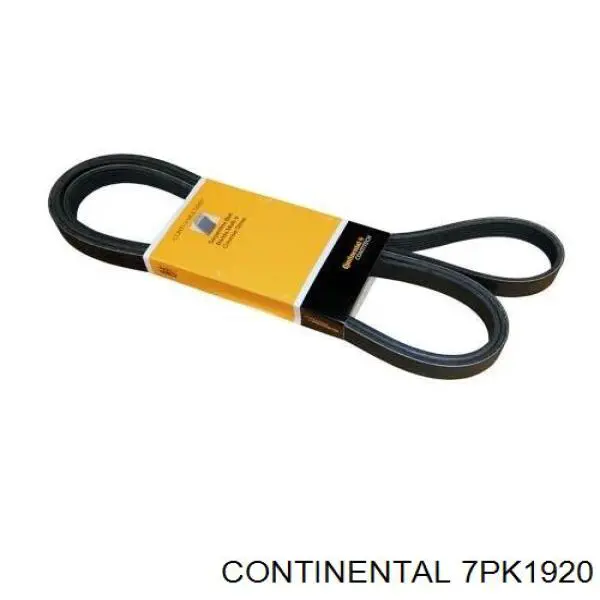 Клиновый ремень Continental/Siemens 7PK1920 цена, от 23.84 USD
