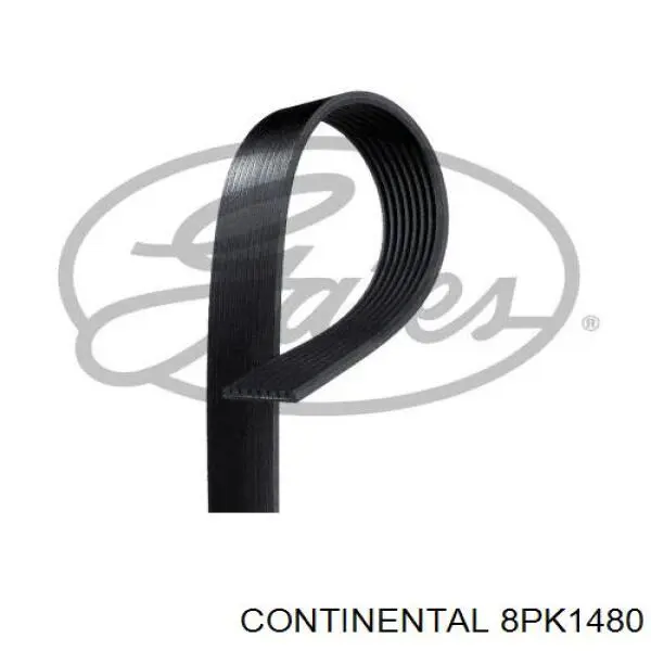 8PK1480 Continental/Siemens ремень генератора