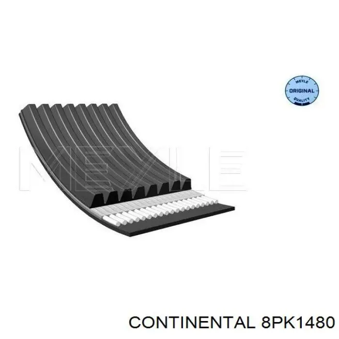 Correa trapezoidal 8PK1480 Continental/Siemens