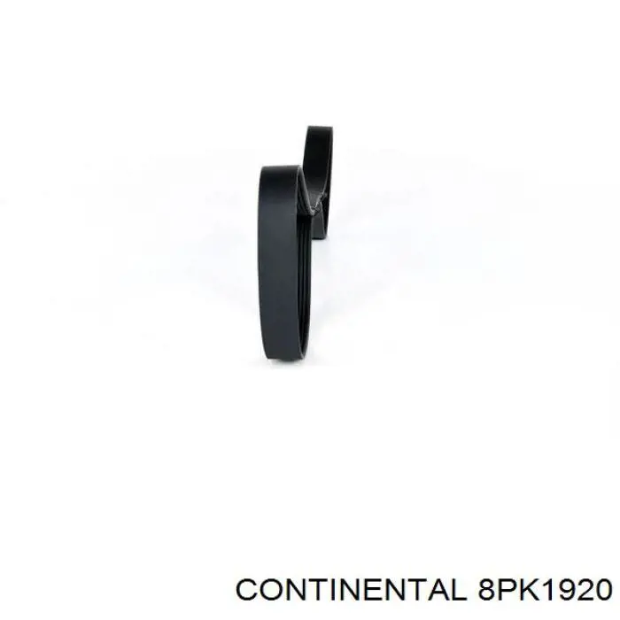 Клиновый ремень Continental/Siemens 8PK1920 цена, от 29.79 USD