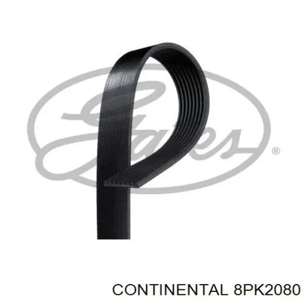 8PK2080 Continental/Siemens ремень генератора