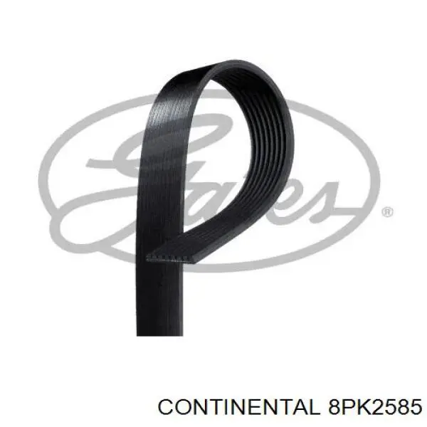 Клиновый ремень Continental/Siemens 8PK2585 цена, от 31.04 USD