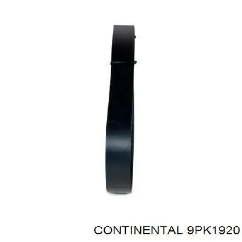 Купить 9PK1920 Continental/Siemens Ремень генератора