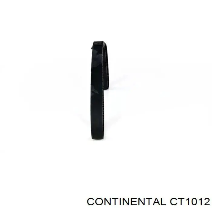 CT1012 Continental/Siemens
