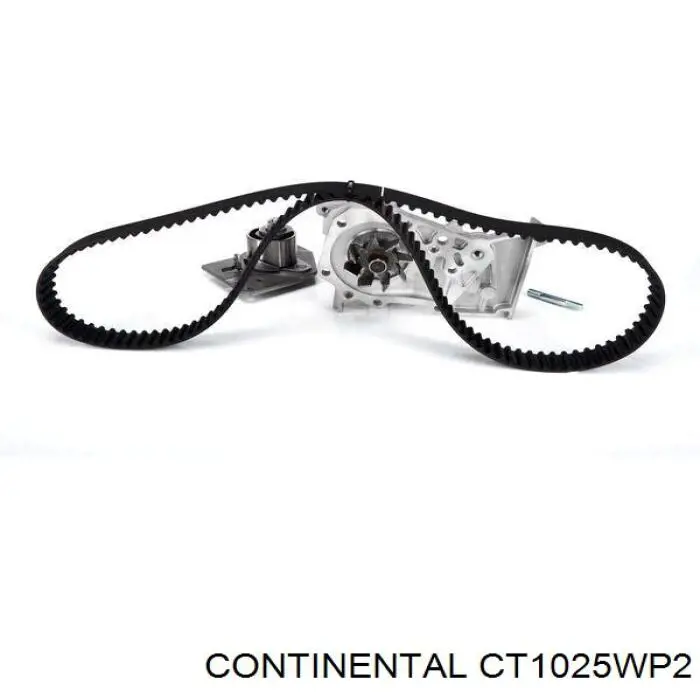 Комплект ГРМ CT1025WP2 Continental/Siemens