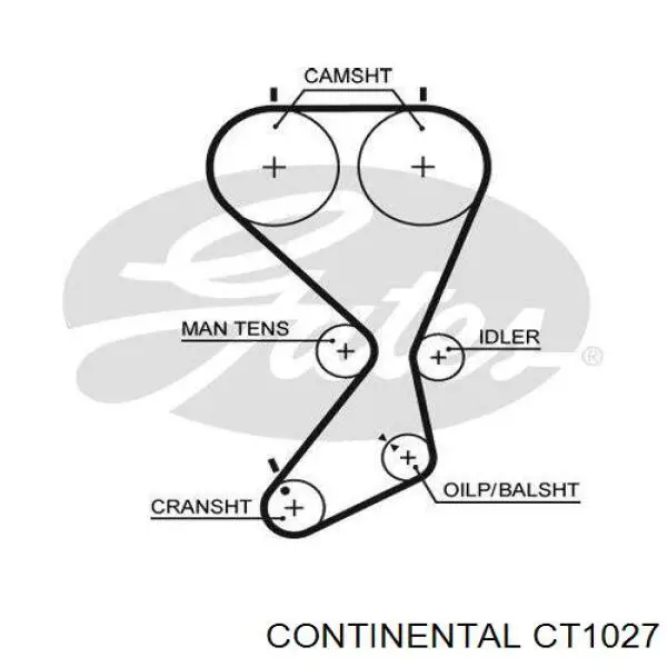 CT1027 Continental correia do mecanismo de distribuição de gás