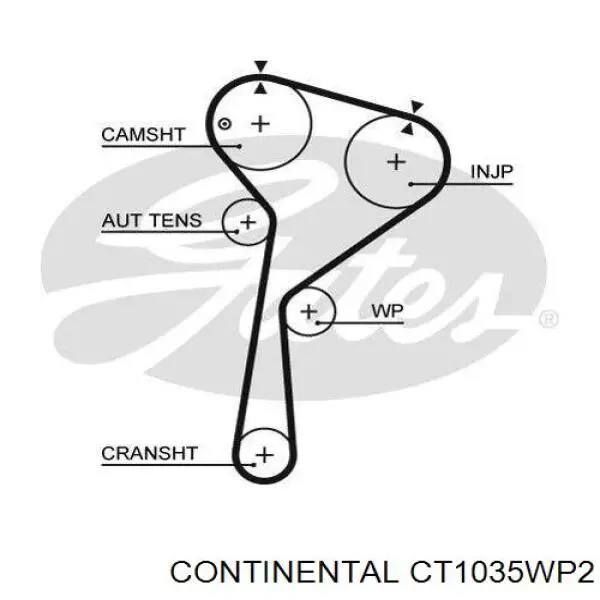 Купить CT1035WP2 Continental/Siemens Комплект ГРМ