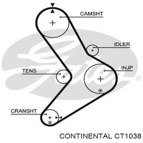 Ремінь ГРМ CT1038 Continental/Siemens