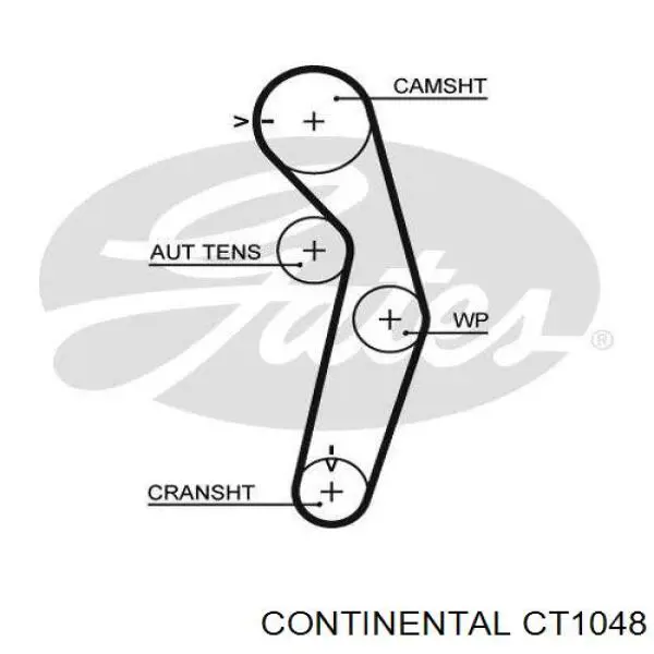 Ремінь ГРМ CT1048 Continental/Siemens