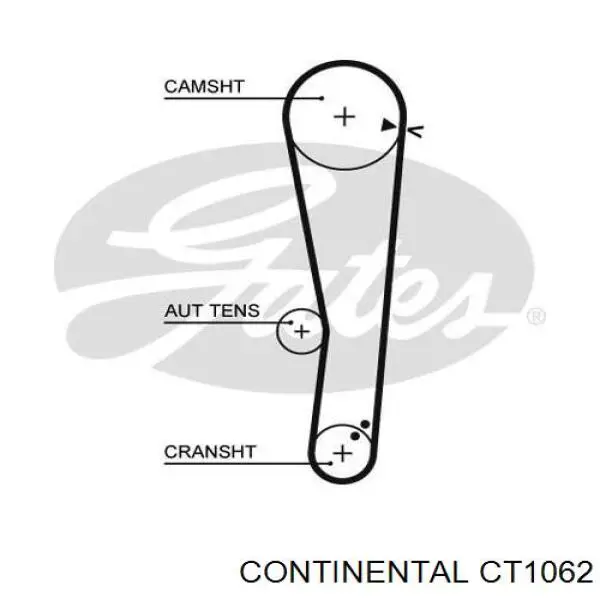 CT1062 Continental correia do mecanismo de distribuição de gás