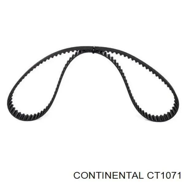 Купить CT1071 Continental/Siemens Ремень газораспределительного механизма
