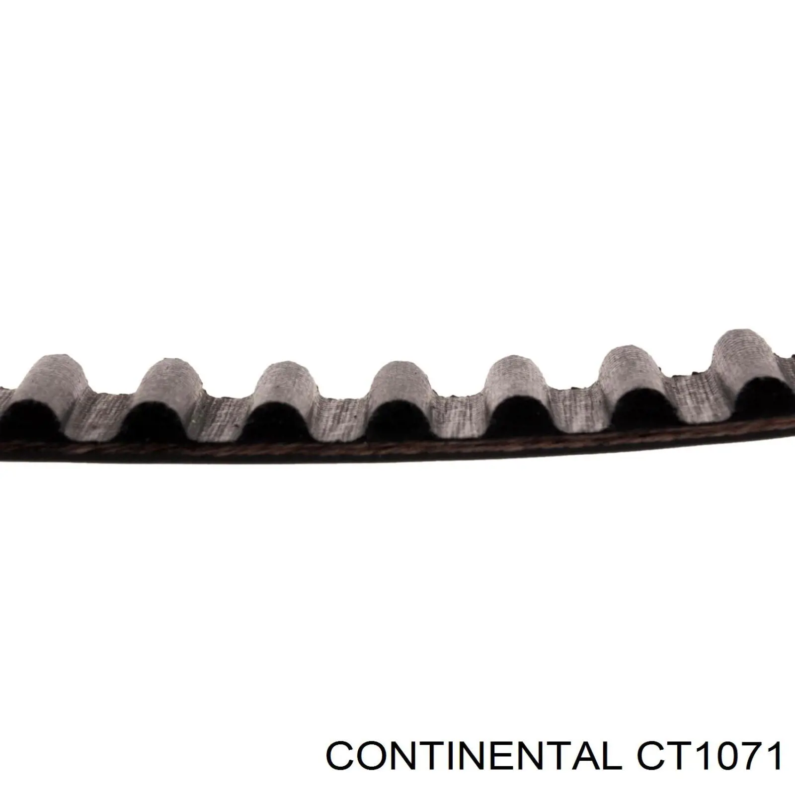 Зубчатый ремень Continental/Siemens CT1071 цена, от 51.85 USD