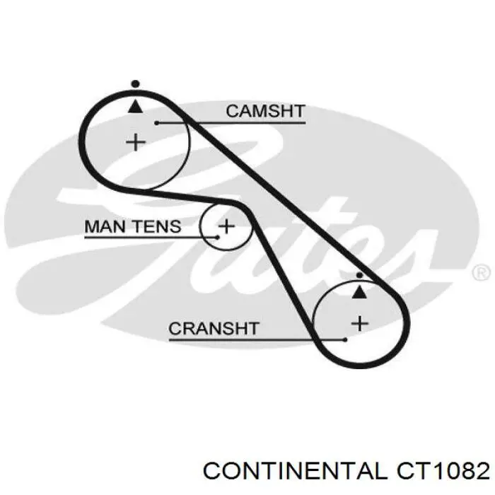 Ремень ГРМ CT1082 Continental/Siemens
