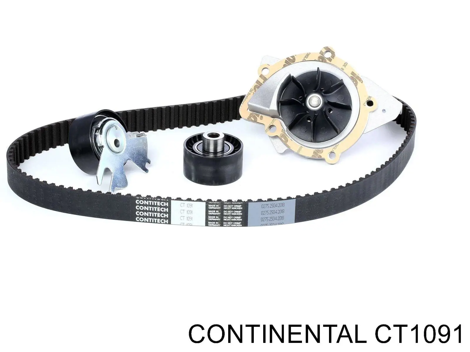 Correa distribucion CT1091 Continental/Siemens