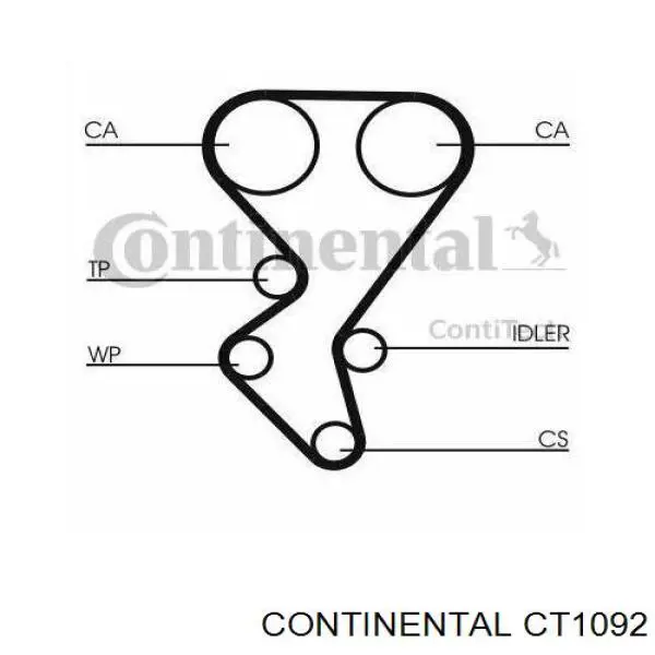 Correa distribucion CT1092 Continental/Siemens