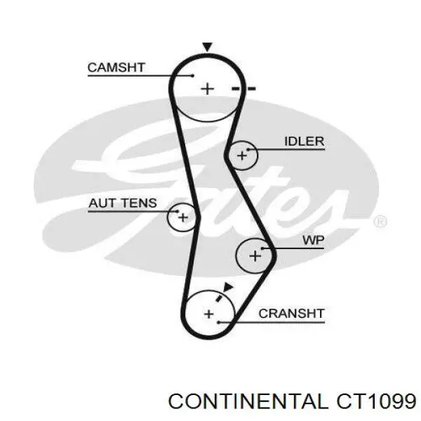 CT1099 Continental/Siemens ремень грм