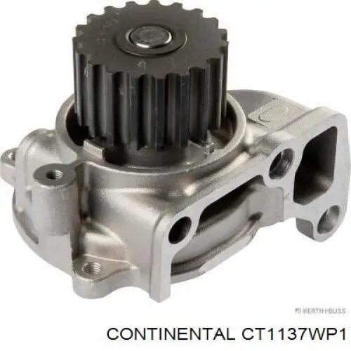 ГРМ ремни, комплект Continental/Siemens CT1137WP1 цена, от 109.38 USD