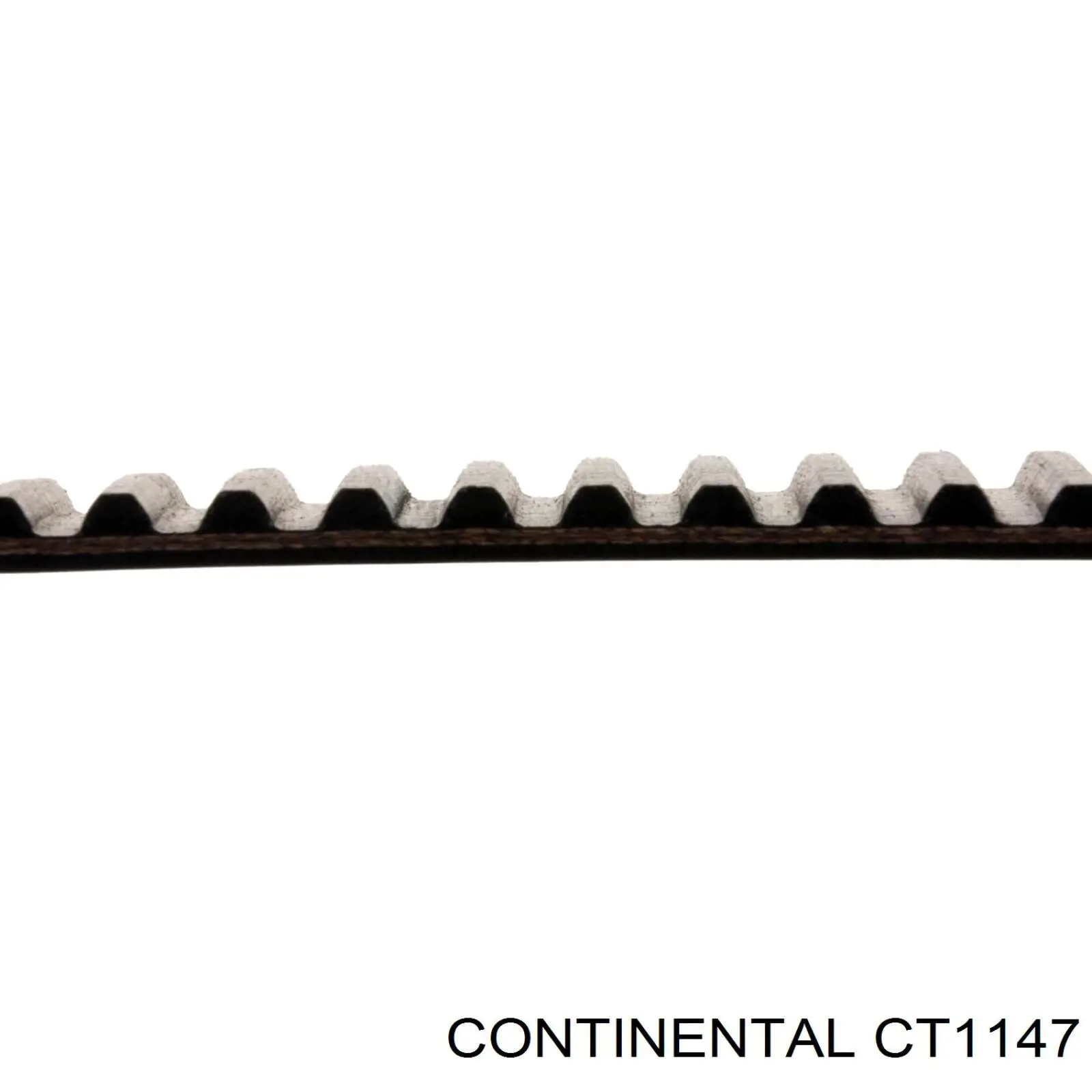 CT1147 Continental/Siemens Ремень двигателя