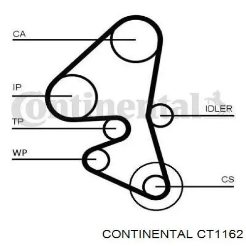 Correa distribucion CT1162 Continental/Siemens