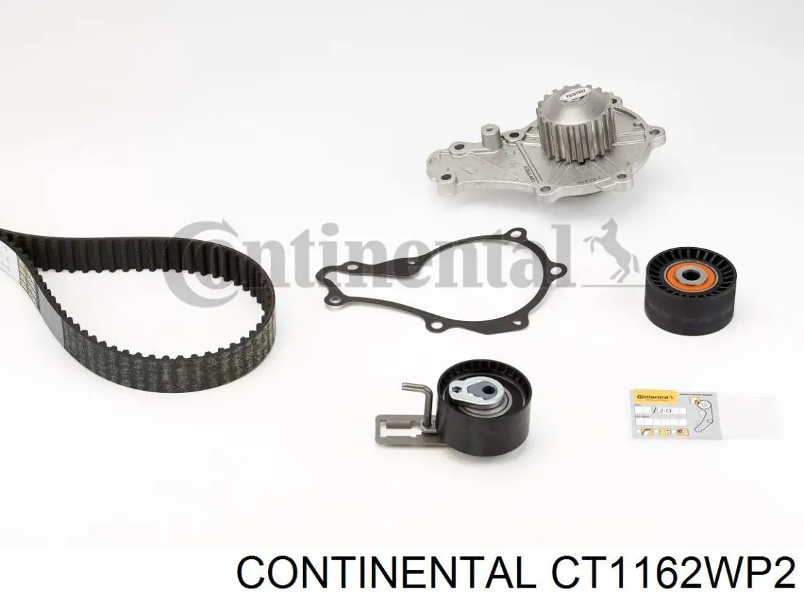 CT1162WP2 Continental/Siemens correia do mecanismo de distribuição de gás, kit