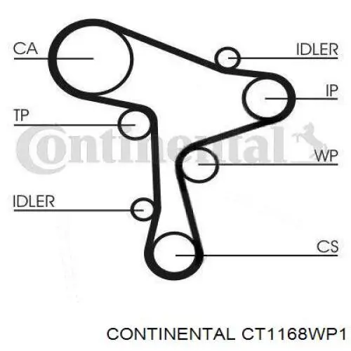 CT1168WP1 Continental correia do mecanismo de distribuição de gás, kit