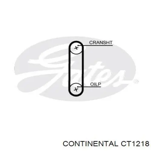 Ремень привода масляного насоса Continental/Siemens CT1218