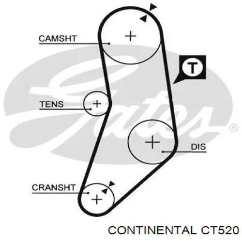 Correa distribucion CT520 Continental/Siemens