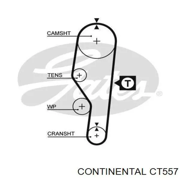 CT557 Continental correia do mecanismo de distribuição de gás