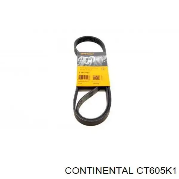 ГРМ ремни, комплект Continental/Siemens CT605K1 цена, от 21.83 USD