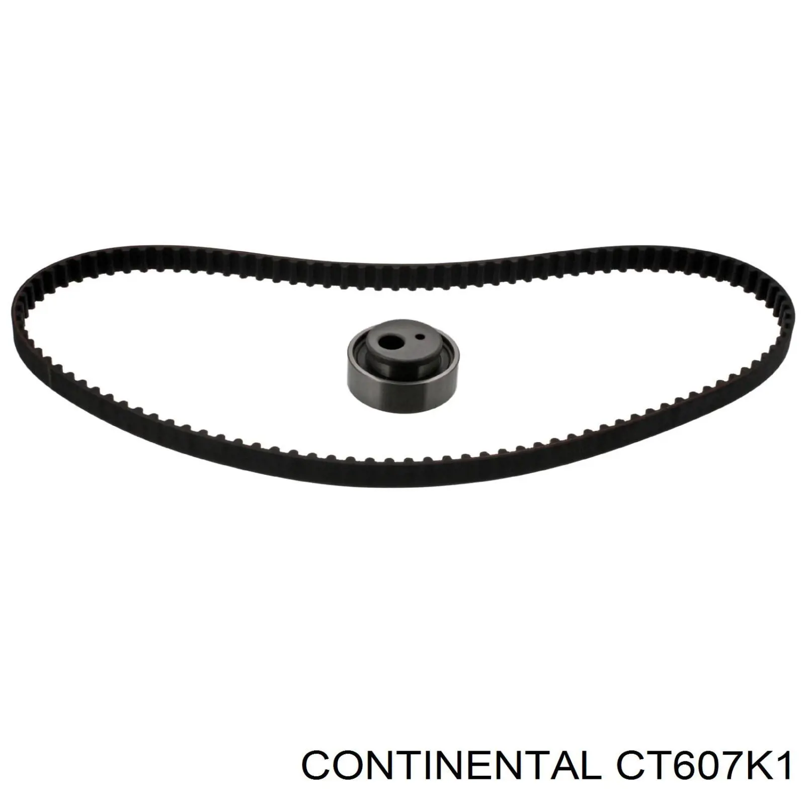 CT607K1 Continental/Siemens