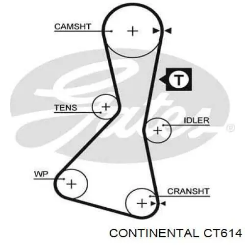 Ремінь ГРМ CT614 Continental/Siemens