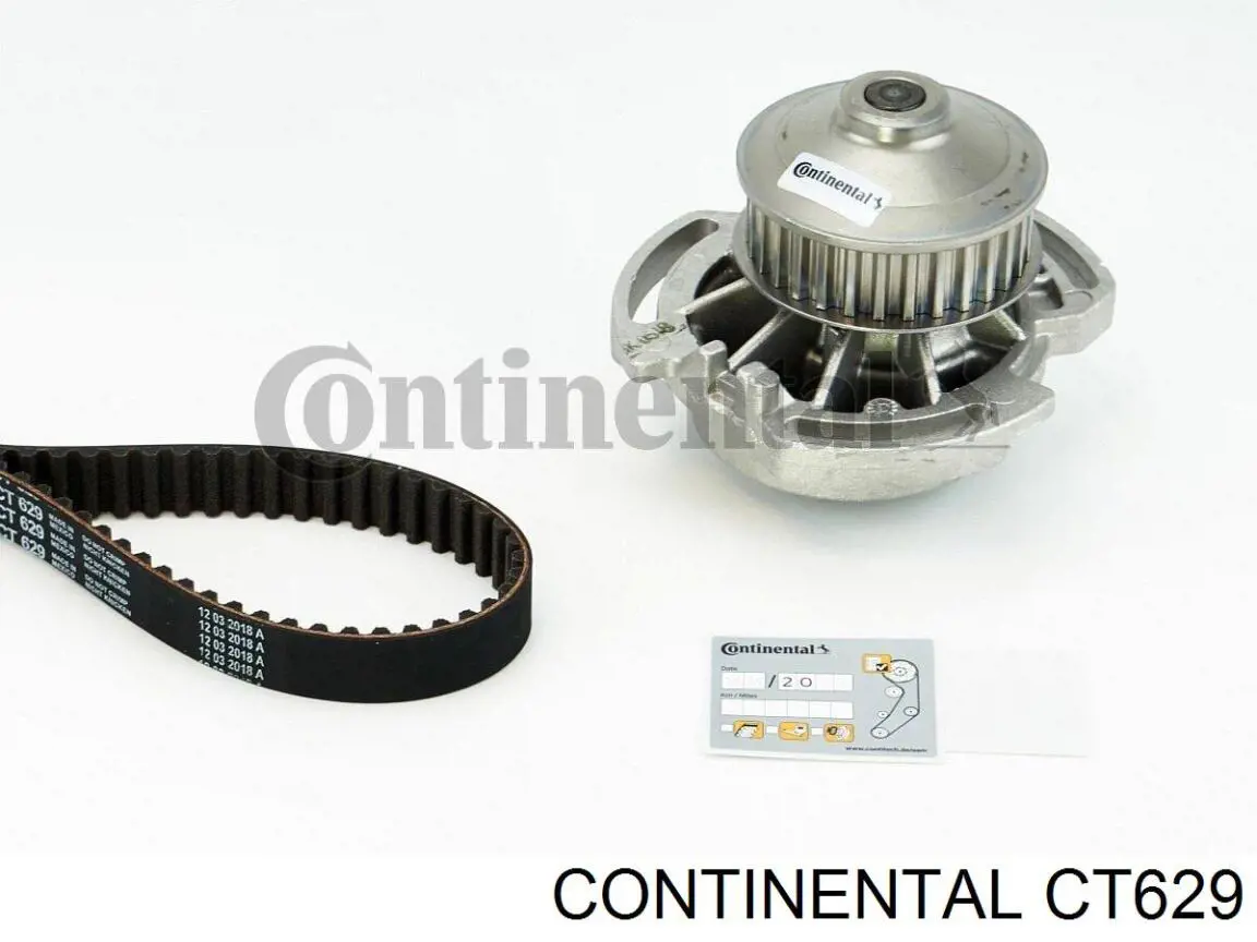 CT629 Continental correia do mecanismo de distribuição de gás