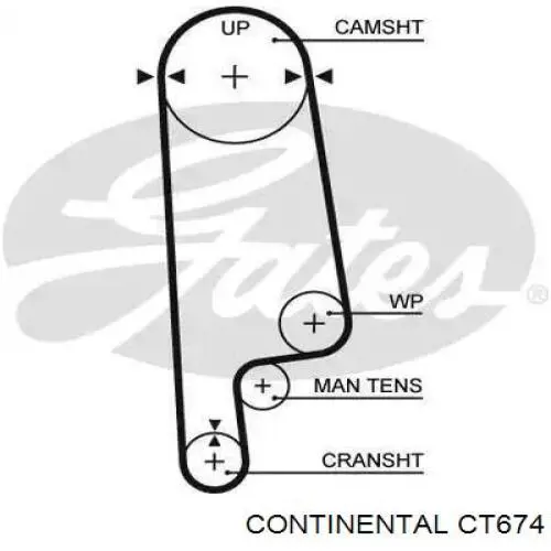CT674 Continental/Siemens Ремень двигателя