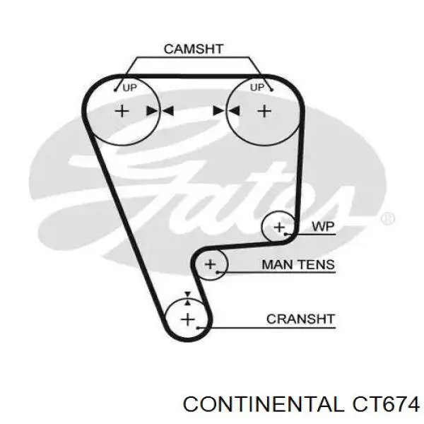 Зубчатый ремень Continental/Siemens CT674 цена, от 4.23 USD