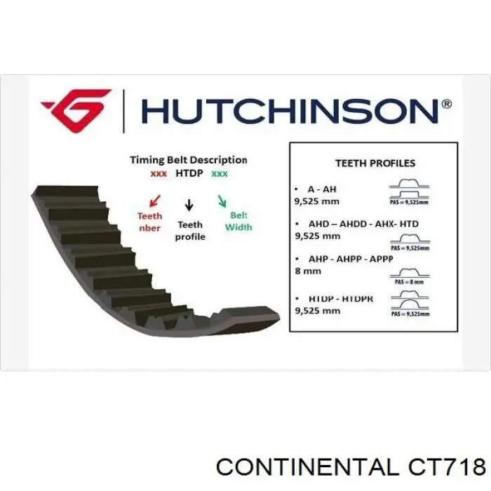 Correa distribucion CT718 Continental/Siemens