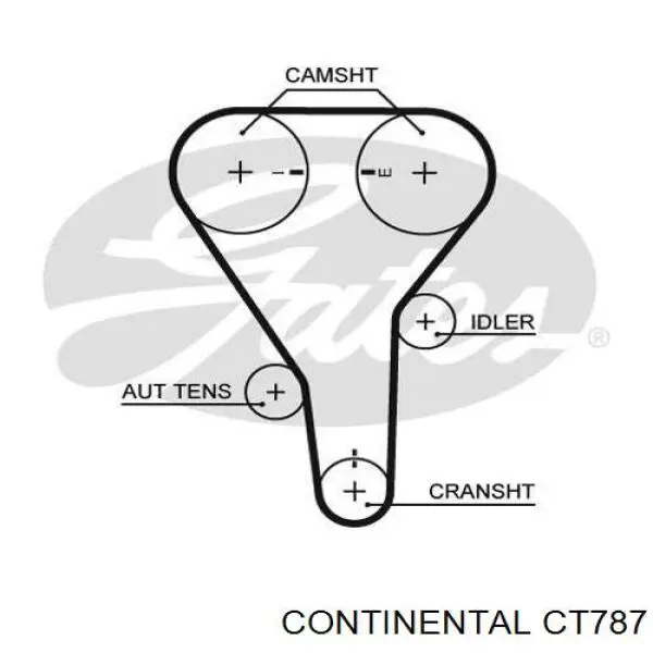 CT787 Continental/Siemens ремень грм