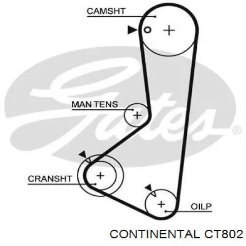 CT802 Continental correia do mecanismo de distribuição de gás