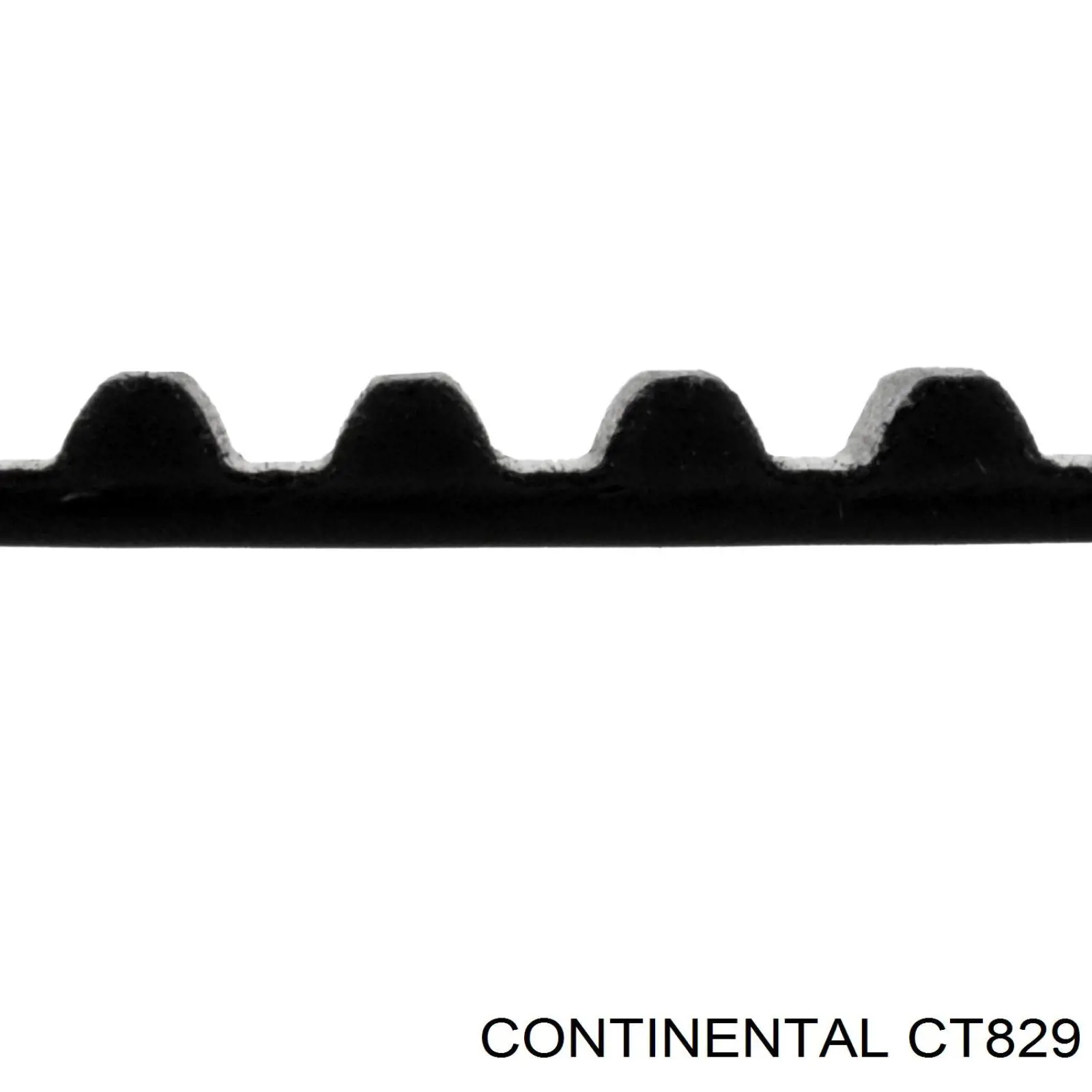 Зубчатый ремень Continental/Siemens CT829 цена, от 26.67 USD